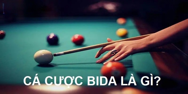 Hình thức cá cược bida tại Sunwin và những thông tin cơ bản