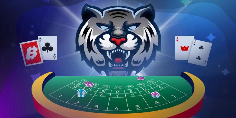 Sơ lược thông tin chung về Tiger Baccarat